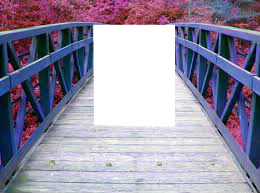 puente Montaje fotografico