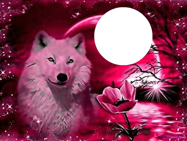 Wolf Photo frame effect
