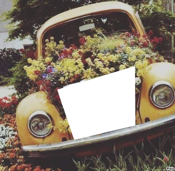 voiture fleurie Fotomontage