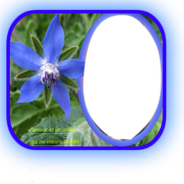 fleur bleu フォトモンタージュ