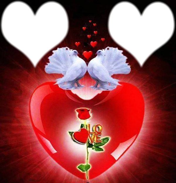 deux colombes avec coeurs " love " Photomontage