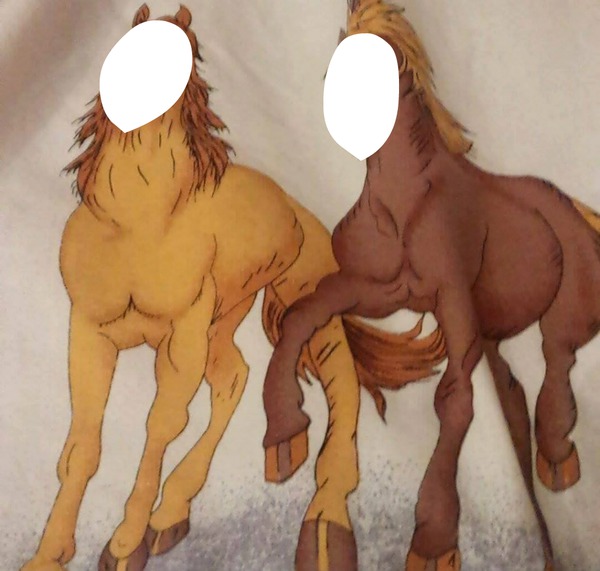 Konie Fotomontāža