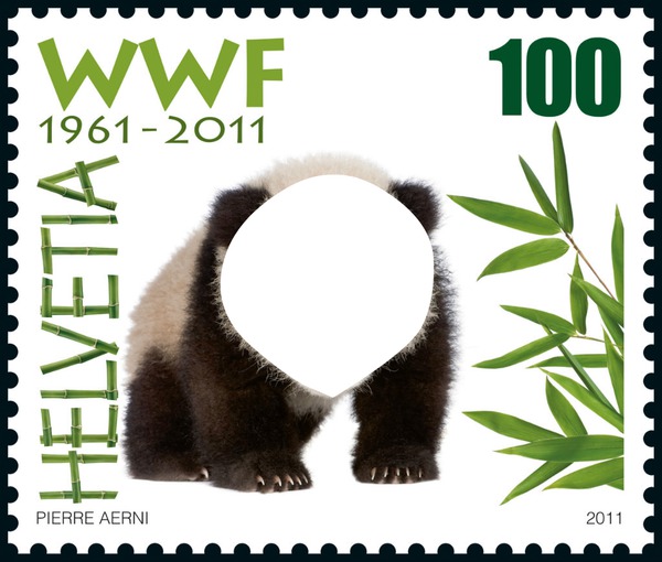 pandi panda Fotomontáž