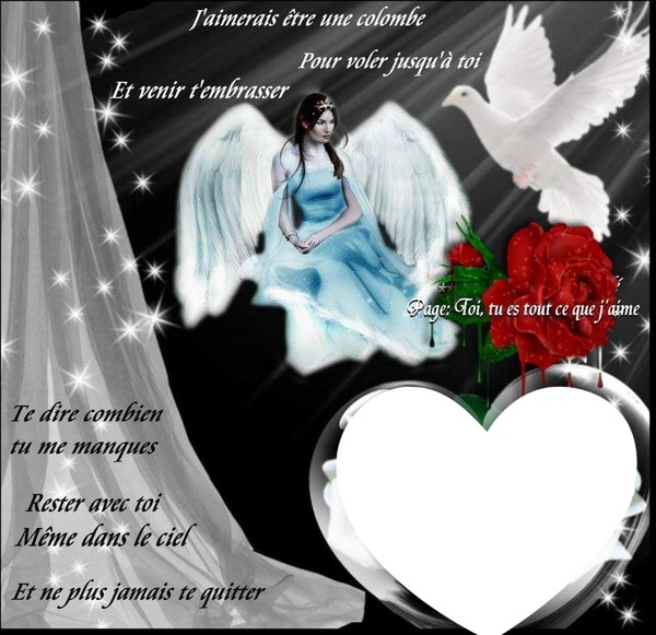 Anges Montage photo