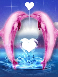 deux dauphin amoureux Photo frame effect