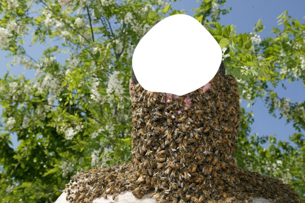 abeille Fotomontáž