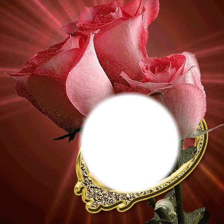 la rose Photomontage