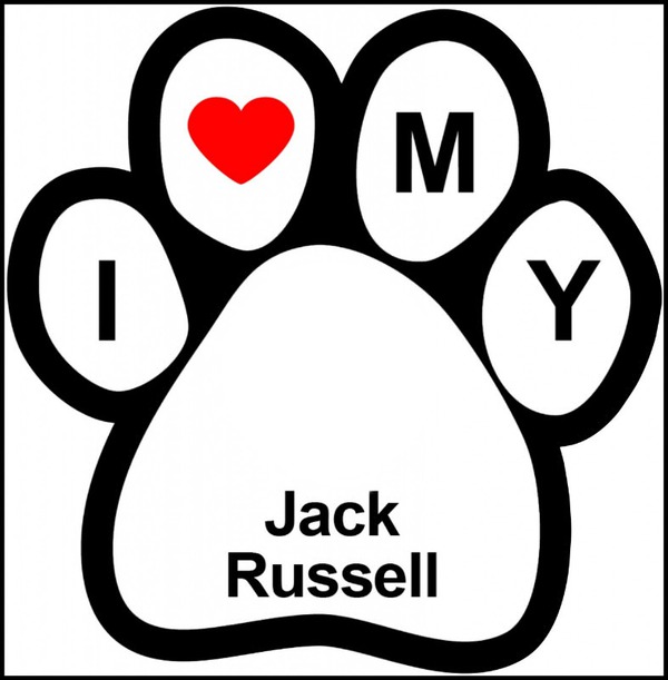 I love my Jack Russell Fotomontáž
