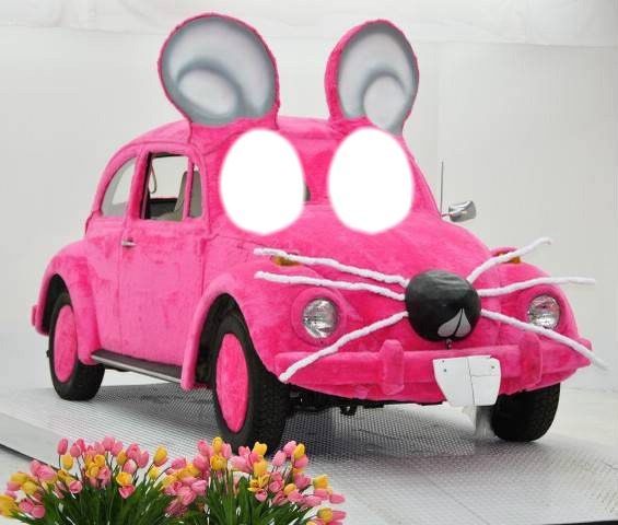 2 têtes voiture rose Photomontage