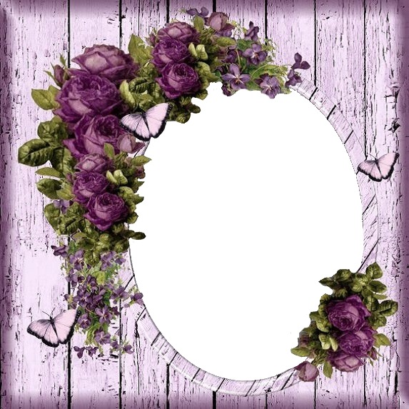 marco ovalado, rosas moradas. Photo frame effect