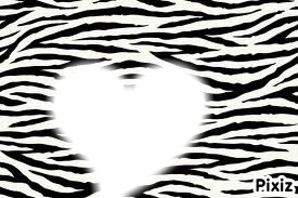 Coeur de zebre Photo frame effect