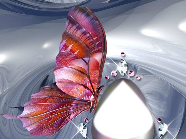 mariposa Valokuvamontaasi