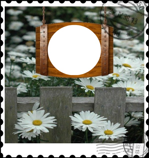 timbre marguerite 1photo Fotomontaż