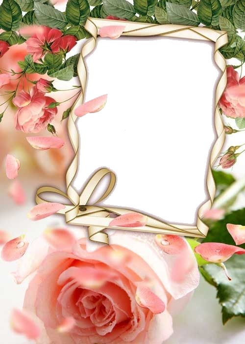 flowers Photo frame effect