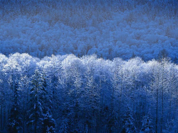hiver Фотомонтажа