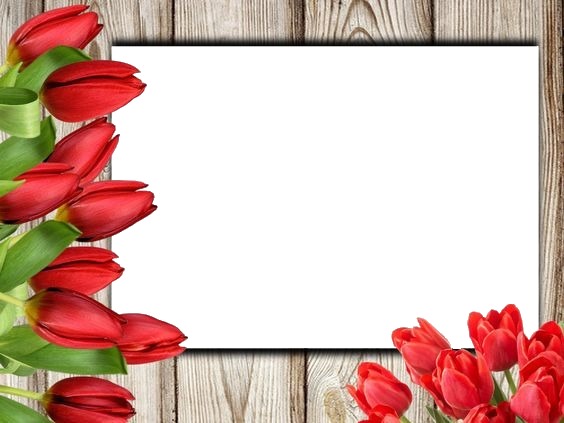 marco y tulipanes rojos. Fotomontagem