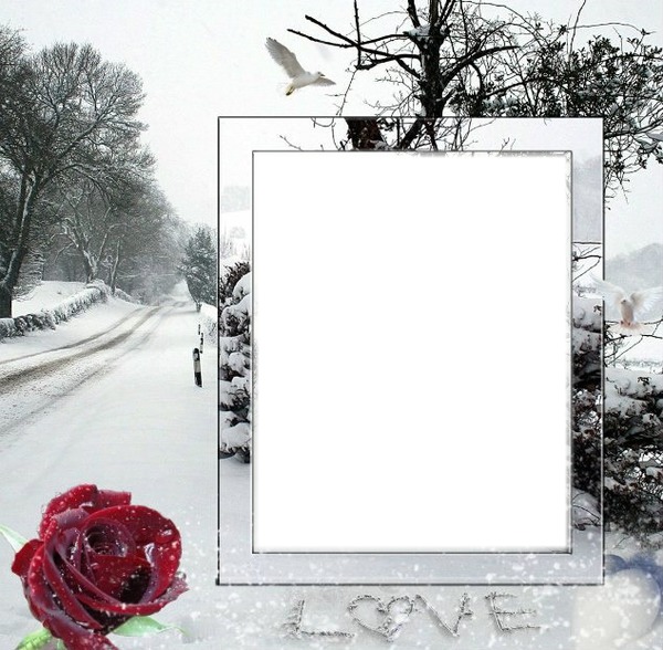 Cadre hiver* Fotomontage