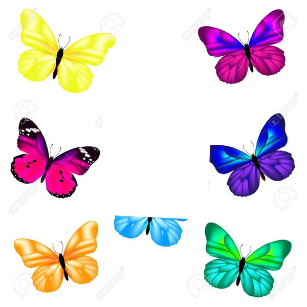 papillons multicolores 1 photo Photo frame effect