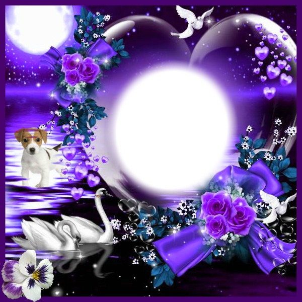 Coeur violet Φωτομοντάζ