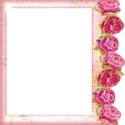 marco rosas rosadas. Fotomontagem