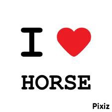 I love horse Фотомонтажа