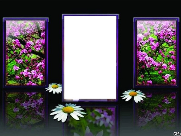 Cadre fleur Photo frame effect