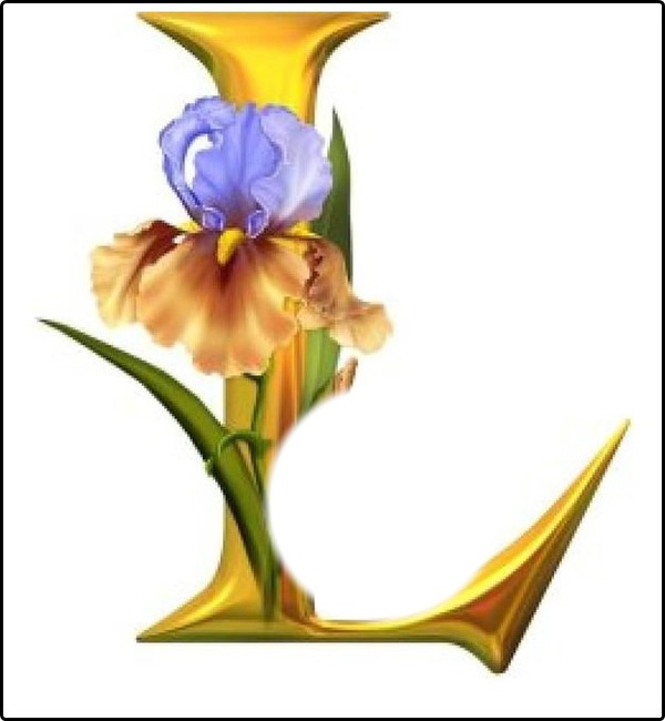 Meu L. de Orquídea!! {M.R.} Fotomontáž