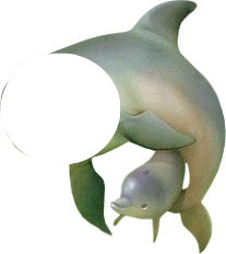 delfin Montaje fotografico
