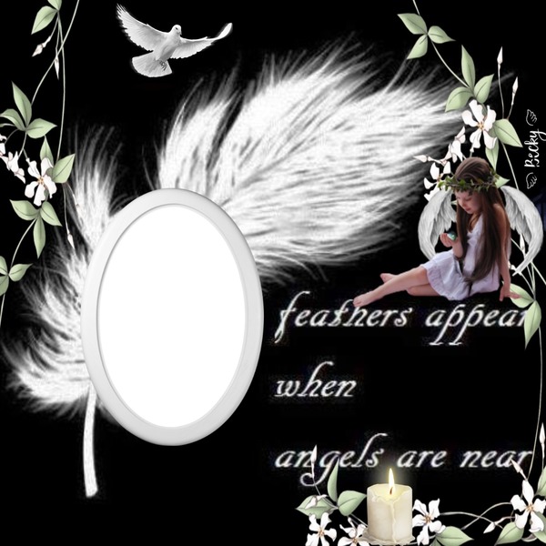 feathers appear Photo frame effect