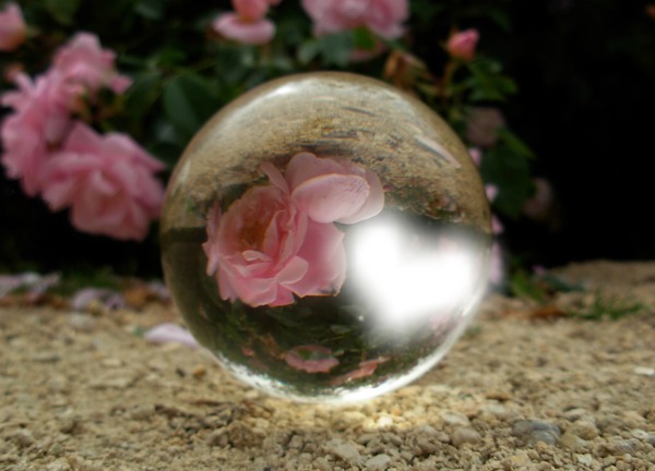 coeur et rose dans une boule de cristal フォトモンタージュ