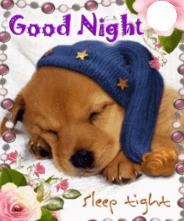 Goodnight Puppy Photomontage