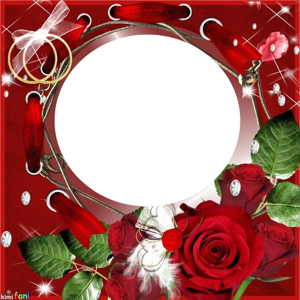 Cadre avec des roses Photo frame effect