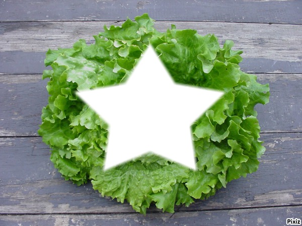 Salade Fotomontasje