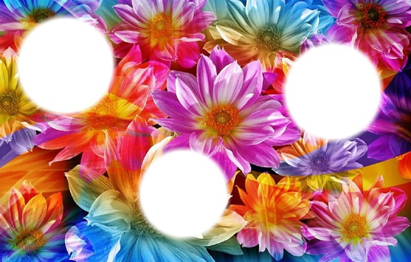 Fleurs multicolores Fotomontasje