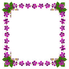 nelly sery Photo frame effect