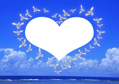 colombes en forme de coeur 1 photo Fotomontagem