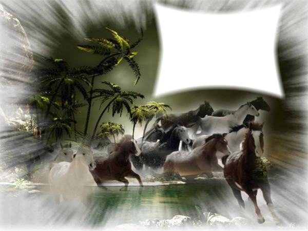 horses Fotomontagem
