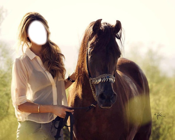 a cheval Fotoğraf editörü