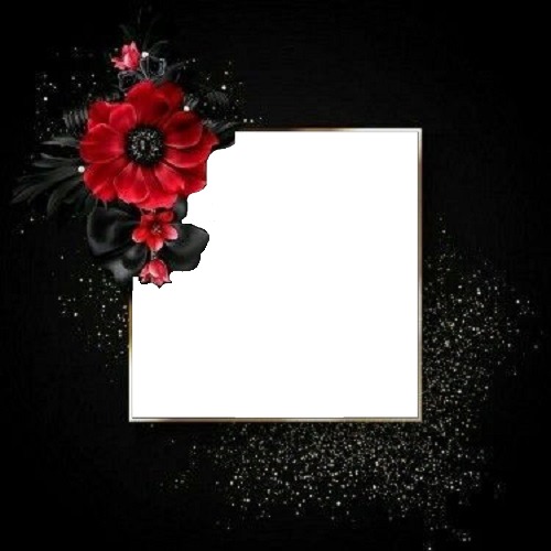 marco negro, flor roja. Fotomontaža