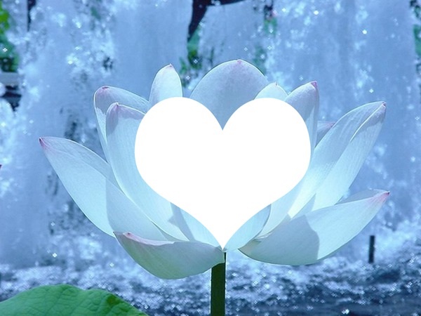 fleur bleue Фотомонтажа