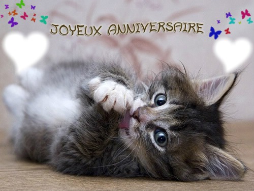 Joyeux anniversaire chaton ❤❤ フォトモンタージュ