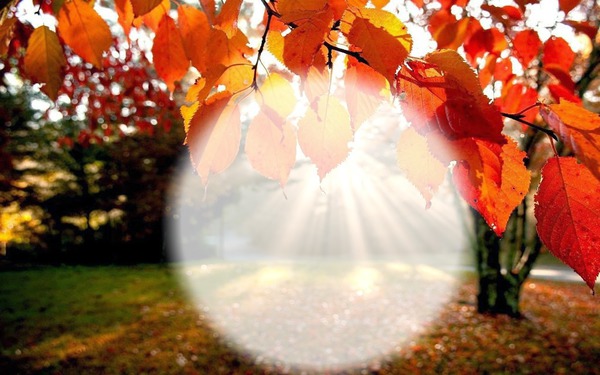 Paysage d'automne Photo frame effect
