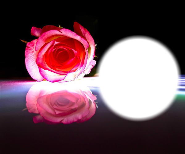 Fleur - rose Fotomontāža