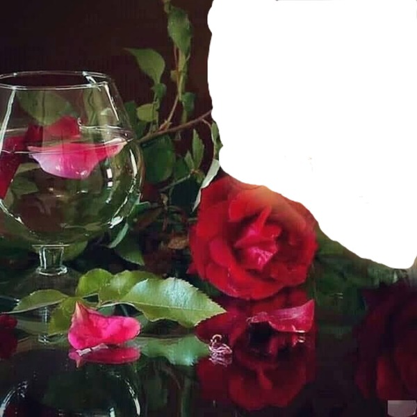 renewilly copa y rosa Montaje fotografico