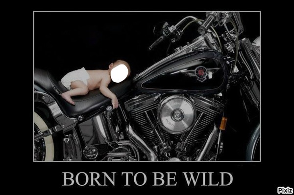 BORN TO BE WILD Photo frame effect