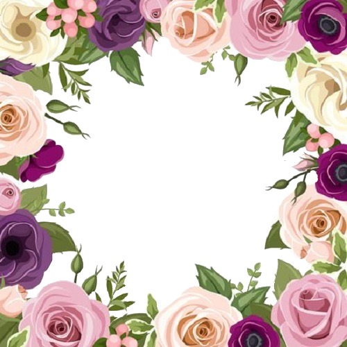 rosas moradas lilas y rosadas. Photo frame effect
