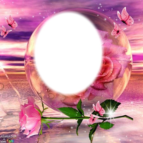 Boule rose Photo frame effect