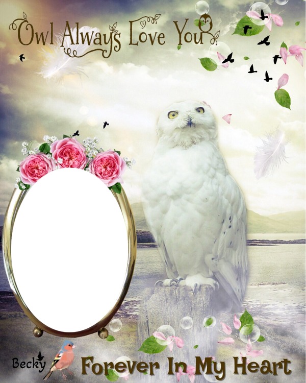 owl will always love you Fotomontaža