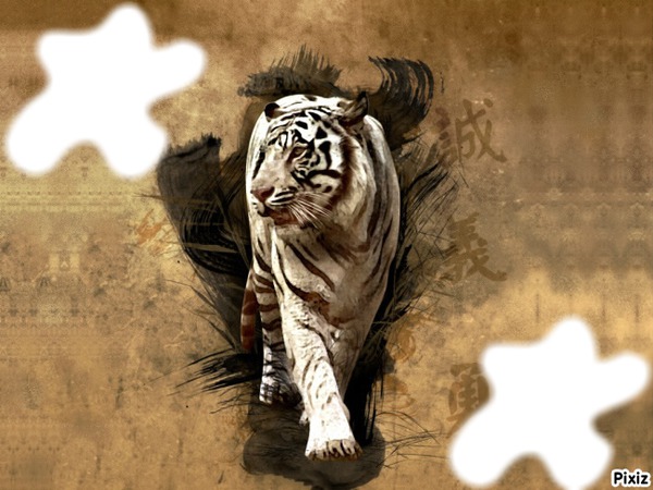tigre chine Fotomontáž