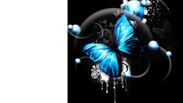 papillon bleu 1 photo Fotomontasje